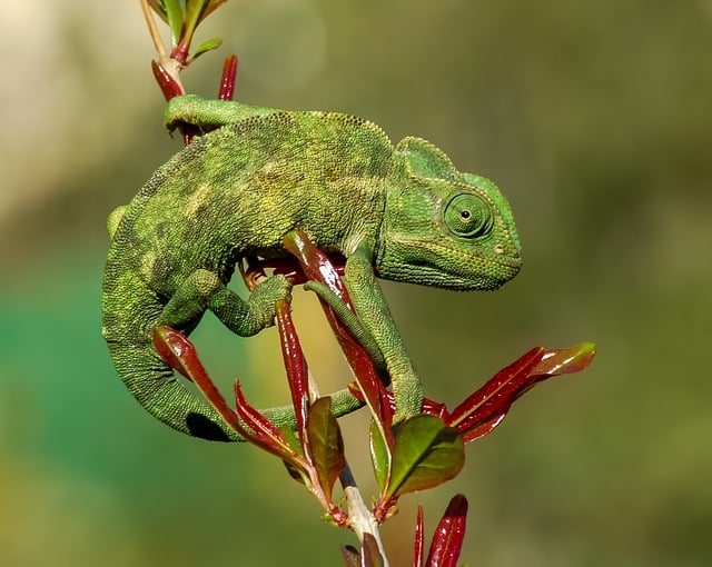 会计30-企业成本管理