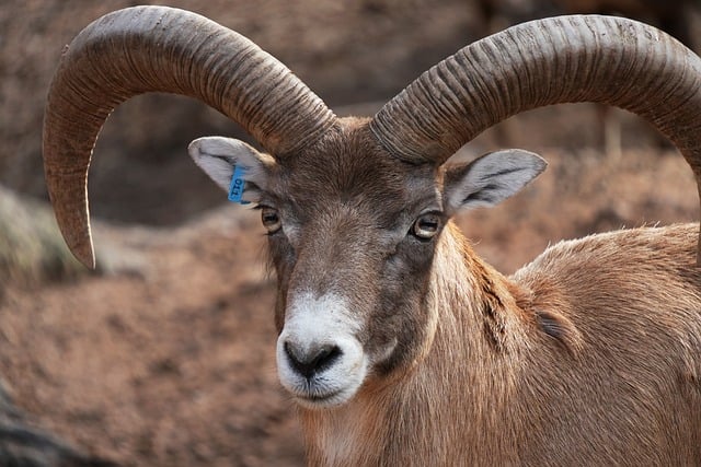 02-1-导数、斜率、速度和变化率